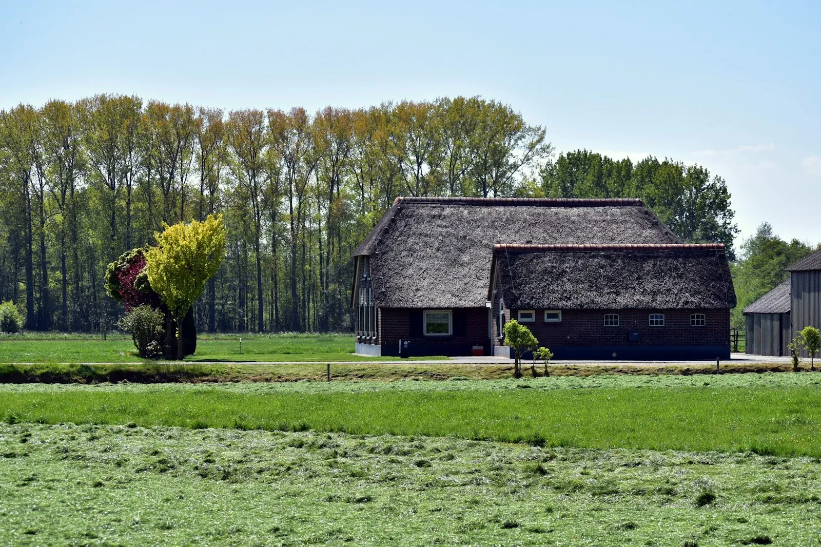 Nieuwgebouwde schuurwoning in De Rijp met een rietgedekt dak